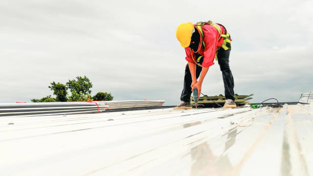 Best Green or Eco-Friendly Roofing Solutions  in Ozona, TX