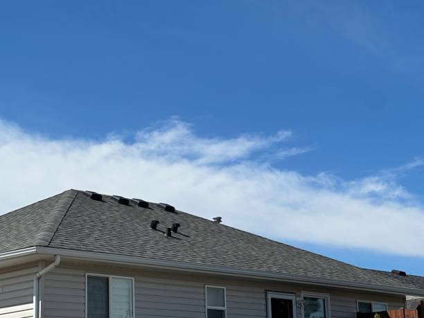 Best Hot Roofs  in Ozona, TX